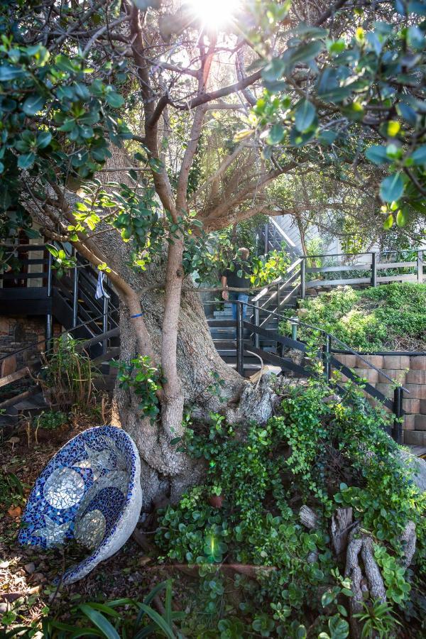 Wilderness Beach House Backpackers Lodge Exterior photo